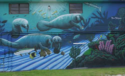 Colorful mural, painted by David Dunleavy and Guy Harvey, adorns the side wall of the Florida Keys History of Diving Museum in Islamorada. Photo by Belinda Serata.